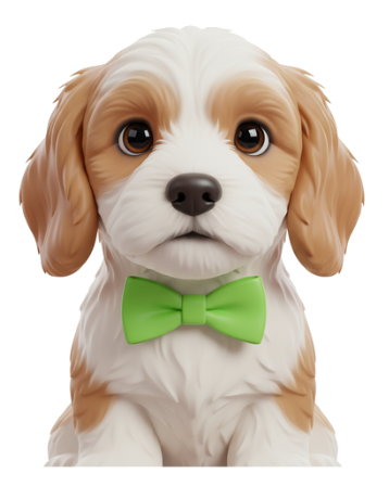 Maple